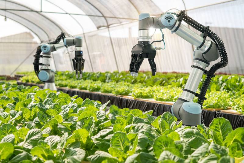 Российские фермеры все более активно обращаются к роботизированным технологиям для оптимизации сельскохозяйственного производства.