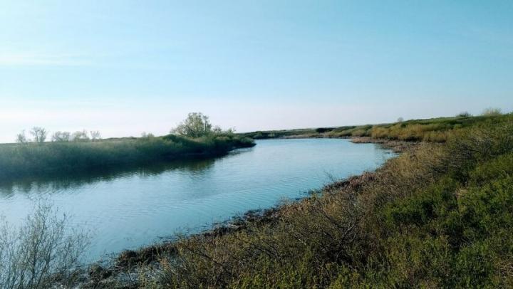 С середины апреля в Саратовской области случилось 10 происшествий на воде