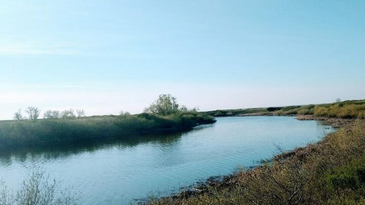 В пруду Федоровского района утонул подросток