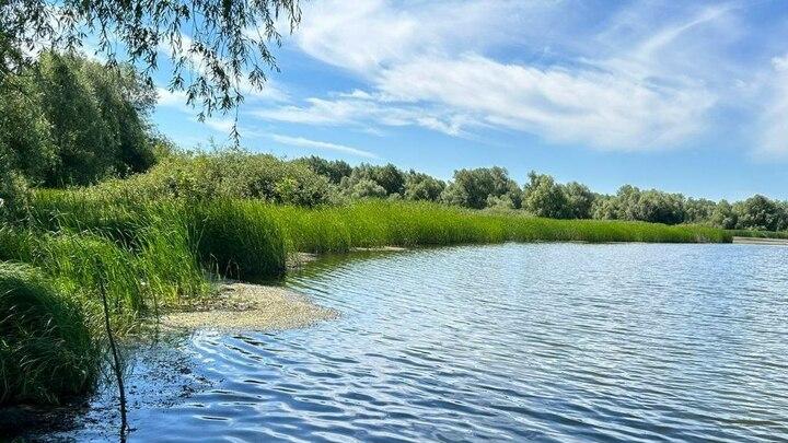 В Марксовском районе утонул еще один мужчина