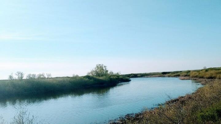 За сутки в Саратовской области утонули двое мужчин одного возраста