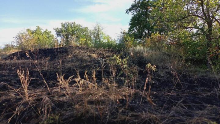 В Краснокутском районе сгорело полгектара травы