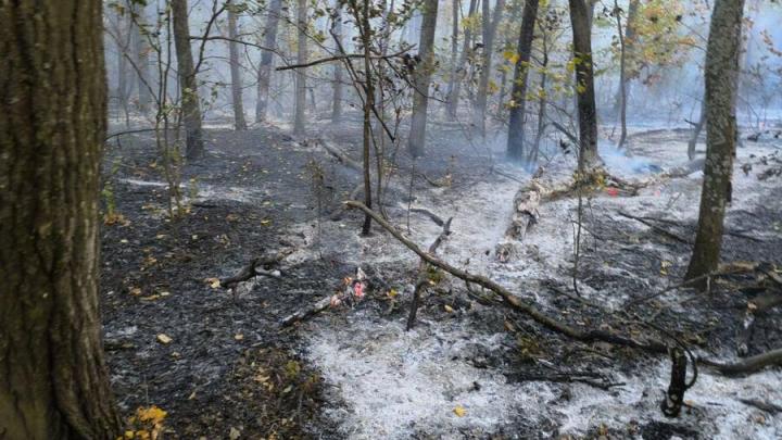 В Саратовской области за сутки произошло 12 ландшафтных пожаров