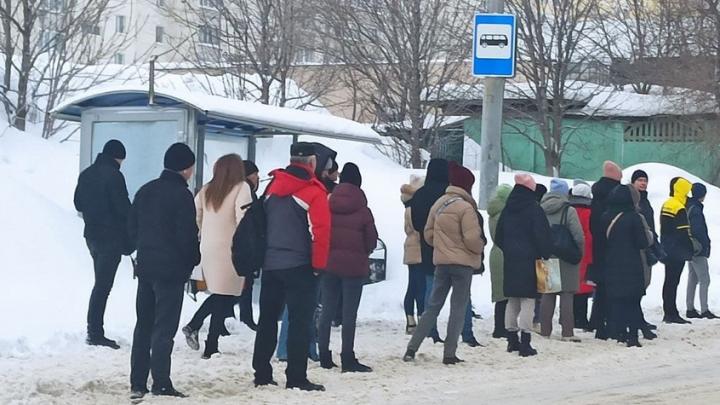 Апокалипсис по-саратовски: снегопад, заторы на дорогах, упавшие деревья