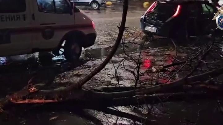 В Саратове ветка дерева упала на несовершеннолетнюю