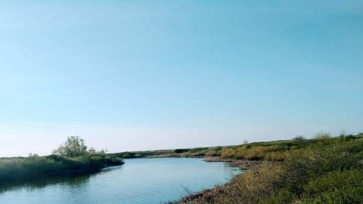 В Энгельсском пруду утонула 15-летняя девочка, вторую удалось спасти В Энгельсском пруду утонула 15-летняя девочка, вторую удалось спасти