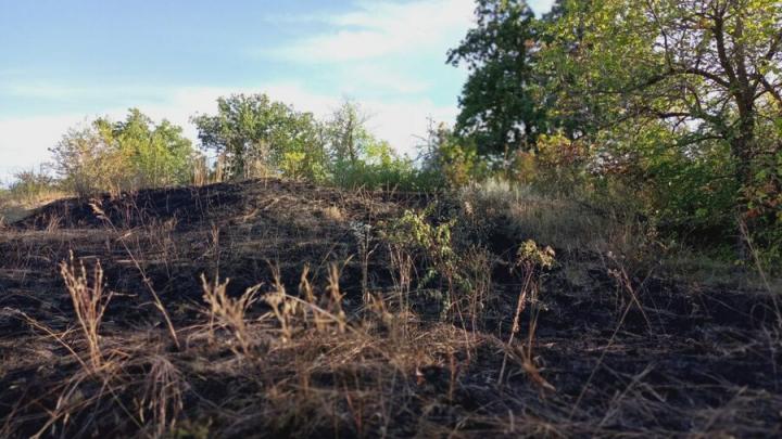 В Гагаринском районе загорелись баня и сарай В Гагаринском районе загорелись баня и сарай