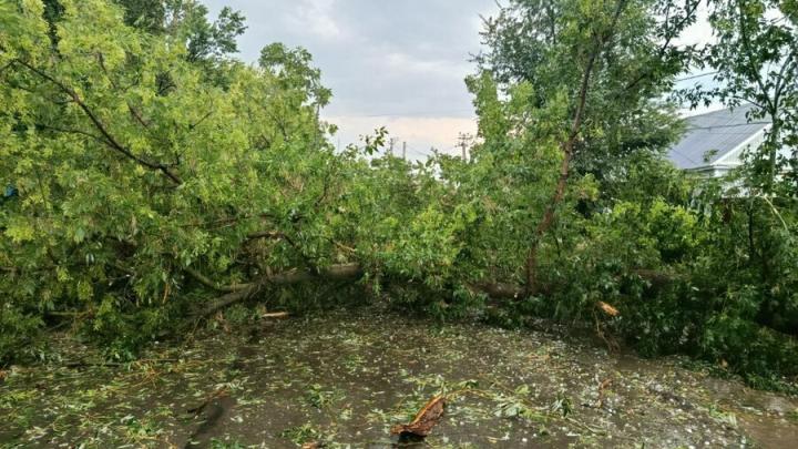 Ураган и ливень парализовали Калининск: жителей просят оставаться дома Ураган и ливень парализовали Калининск: жителей просят оставаться дома