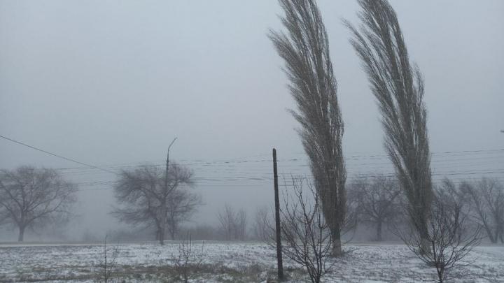 Саратов с Энгельсом накрыла снежная буря