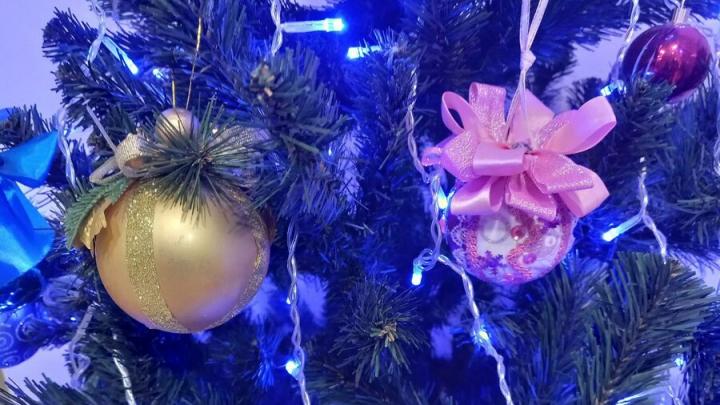 Под Саратовом прокуратура выявила нарушение закона при закупке новогодней ели Под Саратовом прокуратура выявила нарушение закона при закупке новогодней ели