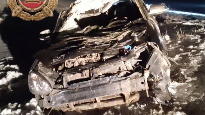 Ночью в Саратовской области "Приора" столкнулась с лошадью