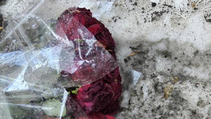 Гидрометцентр предупредил саратовцев о тумане и гололедице в ночь на 19 декабря Гидрометцентр предупредил саратовцев о тумане и гололедице в ночь на 19 декабря