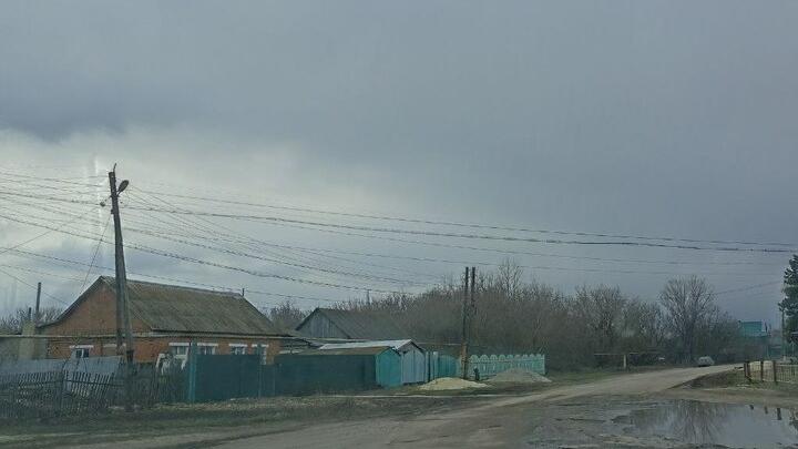 Куры погибли на пожаре в Саратове