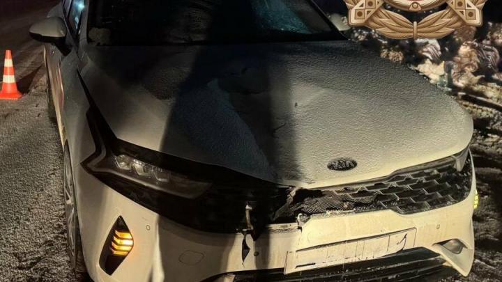 Пешеход погиб под колесами иномарки в Марксовском районе Пешеход погиб под колесами иномарки в Марксовском районе