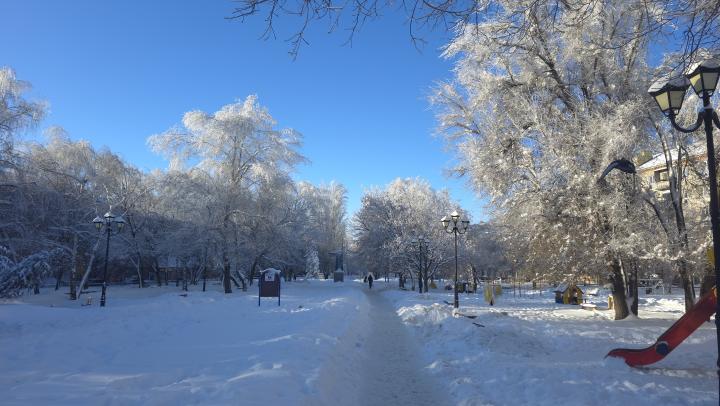 Морозы скорректировали учебу: кого не пустили в школы Саратова Морозы скорректировали учебу: кого не пустили в школы Саратова