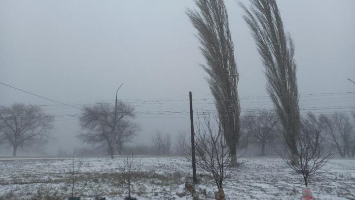 Чиновника в Красном Куте наказали за сугробы под окнами жителей