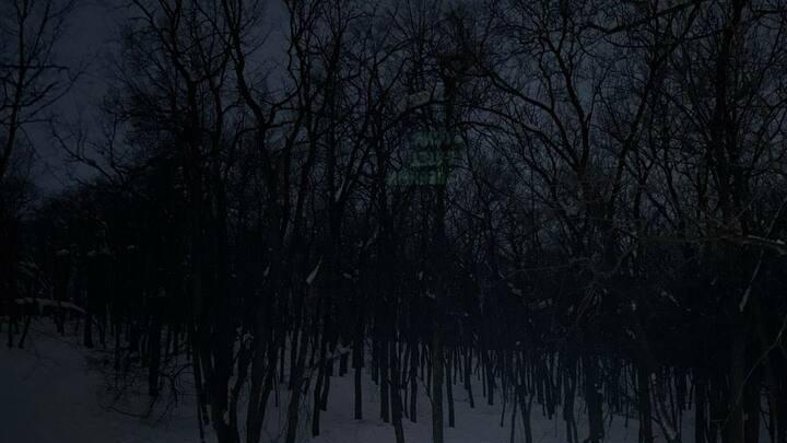 В саратовском парке при катании с горки пострадал 13-летний ребенок