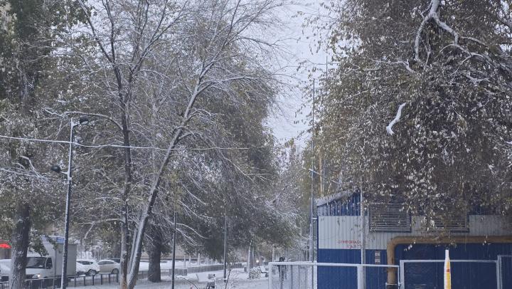 Жителей Саратовской области предупредили о сильном снегопаде и ухудшении дорожной обстановки