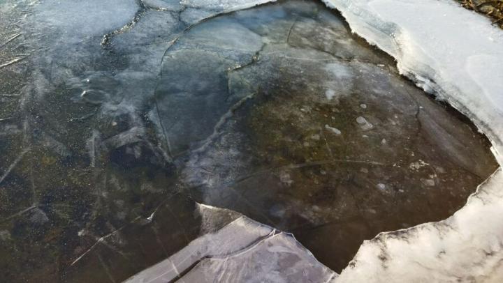 На волжском льду под Саратовом рыбаки провалились под воду на «мотособаке» На волжском льду под Саратовом рыбаки провалились под воду на «мотособаке»
