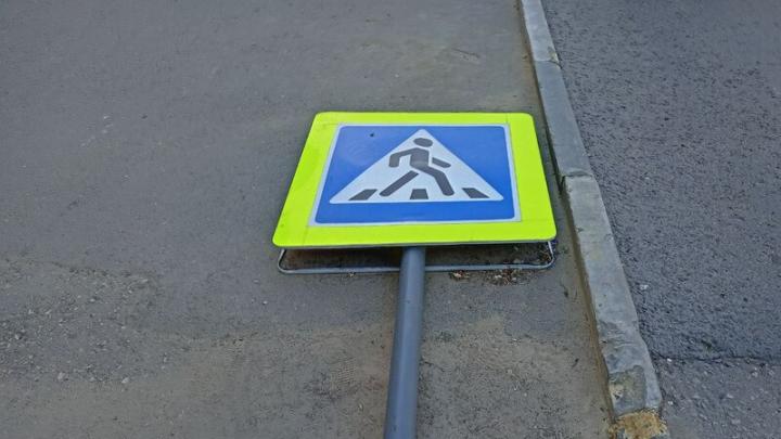 На СХИ в Саратове "ГАЗель" сбила пешехода