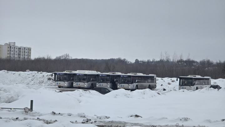 В автобусах Саратова выявили десятки "зайцев"