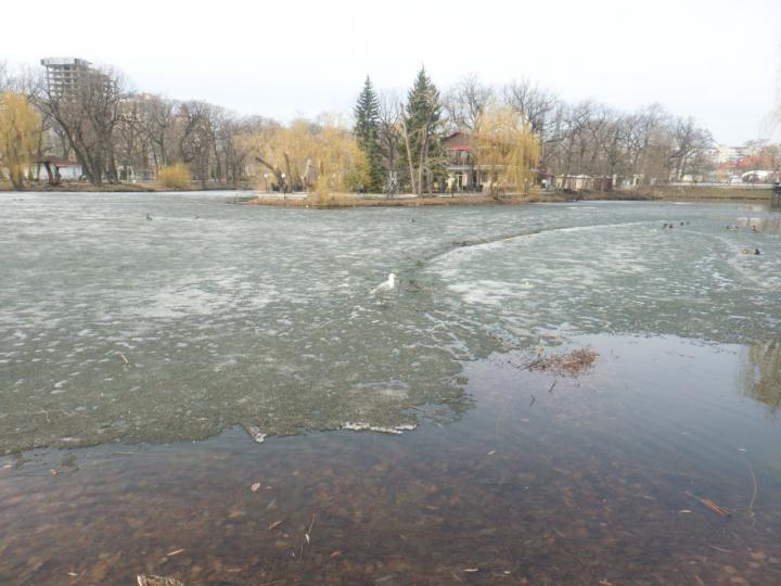 В Саратовской области идёт активный паводок: вскрытие рек наблюдается в 25 районах