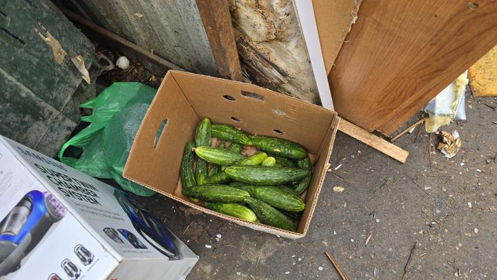 300 килограммов продуктов с плесенью и гнилью не допустили к продаже в Саратове 300 килограммов продуктов с плесенью и гнилью не допустили к продаже в Саратове