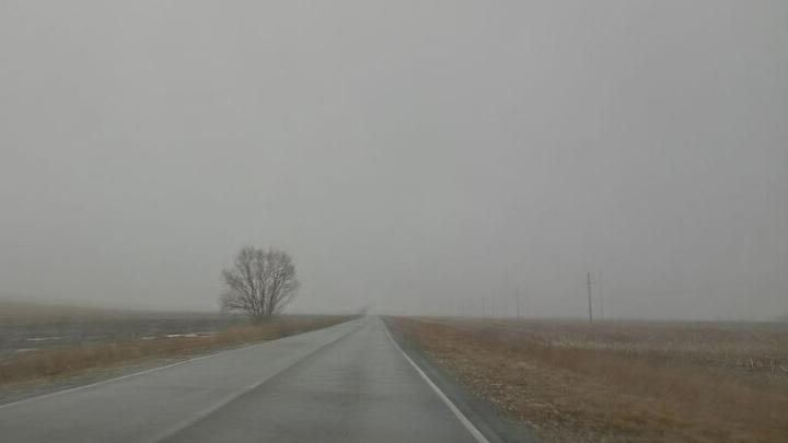 Дети из автобуса, попавшего в ДТП, вернулись домой в Ершов