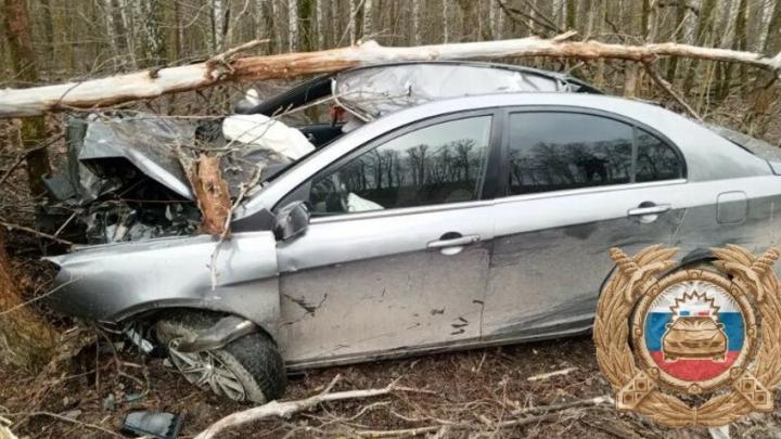 У саратовского села вылетел в деревья китайский автомобиль