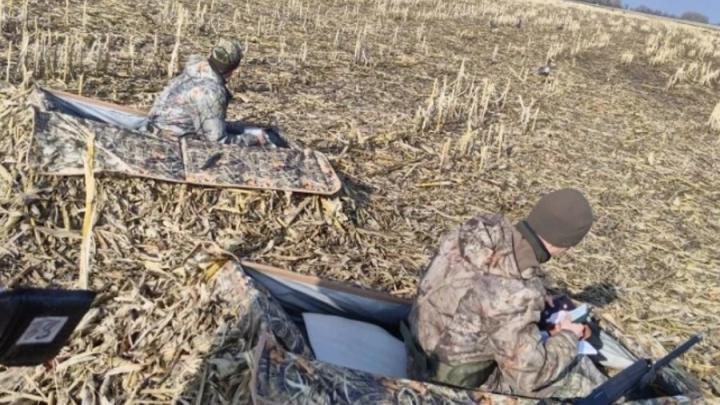 За две недели охоты в Саратовской области поймали 109 нарушителей За две недели охоты в Саратовской области поймали 109 нарушителей