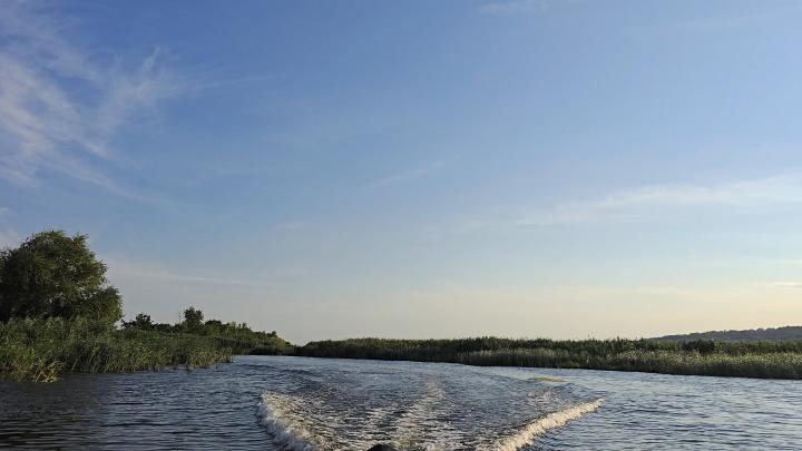 Летние лагеря на Кумысной поляне в Саратове не будут работать в 2026 году